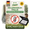 Kellerasselnfalle mit Pheromon Lockstoff -3x Fallen- Mittel Produktbild-Vorschau 1