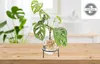 Flora Hydro Vase avec support métallique Voir les images du produit 8