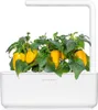 Cialde per piante di peperone giallo dolce Click & Grow Anteprima dell’immagine prodotto 3