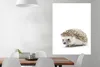 MuchoWow® Poster Igel - Tiere - Weiß 90x120 cm - Wohnzimmer Produktbild-Vorschau 2