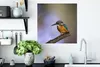 MuchoWow® Poster Eisvogel-Fotodruck 50x50 cm - Produktbild-Vorschau 3