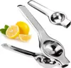 Collage of two stainless steel citrus juicers and lemons with leaves. Produktbild-Vorschau