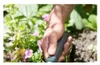 Gardena 08950-20, Záhradná stierka, Duroplast, Oceľ, Náhľad obrázku produktu 16