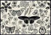 INTERDRUK Puzzle Blumen: Motli und Blumen 500 Puppen Produktbild-Vorschau 3