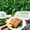Spinat Samen (Matador, 150 Korn) - Winterspinat Saatgut aus Produktbild-Vorschau 3