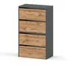 A modern, functional shoe cabinet with a gray matte and Wotan oak finish, presented on a white background. Voir les images du produit