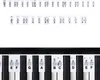 INF Odnímatelné štítky na piano a klávesnici 61 kláves Bílý Náhled obrázku produktu 7