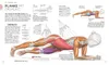 Krafttraining - Die Anatomie verstehen Produktbild-Vorschau 7