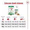 Royal Canin Mini Adult 8+ 2kg Anteprima dell’immagine prodotto 12