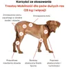 Treatsy Suplement diety – Mobilność i Stawy dla psów dużych Podgląd zdjęcia produktu 3