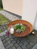 A fire pit filled with succulents and a candle sits on a cobblestone patio next to a building. Produktbild-Vorschau