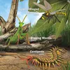 Collecta 80043 Luipaardgekko, 9 cm, Reptielen Productafbeelding-voorbeeld 6
