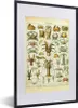 MuchoWow® Gerahmtes Poster Hummer - Tiere - Meerestiere - Produktbild-Vorschau 1