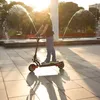 Miniwalker Tiger 10 Pro+ Elektroscooter 2400W Dual Motor 25 Produktbild-Vorschau 12