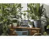 A desk covered in plants with a laptop open. Produktbild-Vorschau