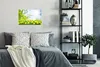 MuchoWow® Poster Blumen - Frühling - Gelb 30x20 cm - Produktbild-Vorschau 4