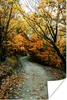 MuchoWow® Poster Blätter - Herbst - Wald 20x30 cm - Produktbild-Vorschau 1