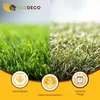 EcoDeco Graines de gazon gazon à semer 5kg, gazon terrain Voir les images du produit 2