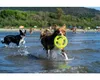 Hračka pes FRISBEE MINI plov. z TPR zelená Kiwi Náhled obrázku produktu 3