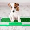 Relaxdays Hundeklo Rasen, Welpentoilette für die Wohnung, Produktbild-Vorschau 3