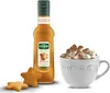 Mathieu Teisseire Getränke-Sirup Lebkuchen 0,25L (1er Pack) Produktbild-Vorschau 3