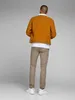 Jack & Jones 12150160, Chino, Erwachsener, Beige, Produktbild-Vorschau 9