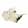 Hortensia Dense Beau Bouquet D'hortensias Fleurs Voir les images du produit 18
