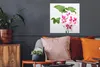 MuchoWow® Poster Bunte Geranienblüten 50x50 cm - Produktbild-Vorschau 2