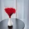 Glixia Getrocknete - (Glixia Marcela) - Rot Produktbild-Vorschau 4