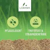 LERAVA CHAMPION 300m² - Rasensamen dürreresistent - Produktbild-Vorschau 4