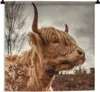 MuchoWow® Wandteppich Wandbehang Scottish Hochlandrind - Produktbild-Vorschau 1