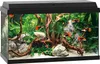 Aquarium JUWEL Primo 60 y compris couvercle avec éclairage Voir les images du produit 1