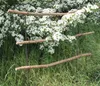 2 Stück Staudenhalter Beetbegrenzer Zaun Naturdeko DIY Produktbild-Vorschau 3