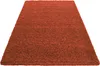 A rectangular, high-pile rug in a terracotta color is shown from a diagonal perspective on a white background.