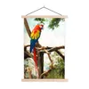 MuchoWow® Textilposter Papagei - Vogel - Regenbogen - Produktbild-Vorschau 1