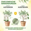 Power Raubmilben gegen Thripse und Spinnmilben, 3 Mix Produktbild-Vorschau 6
