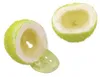 Fini Tennisballen 4-pack - 50 stuks Productafbeelding-voorbeeld 6