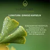 Lunatura Ginkgo fermentiert aus Ginkgonuss & Ginkgoblatt - Produktbild-Vorschau 2