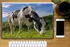 MuchoWow® Laptop Aufkleber Sticker Cover Kuh - Wald - Gras Produktbild-Vorschau 2