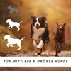 Supravit Rinderohren für Hunde getrocknet 1kg | Produktbild-Vorschau 6