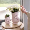 Kolibri Orchids Bílá orchidej Phalaenopsis – Nazaré – Náhled obrázku produktu 5