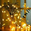 A string of star-shaped LED lights is draped around a vase of flowers, creating a warm and festive atmosphere. Náhled obrázku produktu