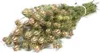 Nigella getrocknet im Bund ca. 60cm | Nigella damascena Produktbild-Vorschau 2