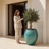 Drzewko oliwne w donicy ceramicznej Provencelia COCOON, Podgląd zdjęcia produktu 4
