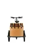 SachsenRAD T2 Neo Vintage E-Lastenrad – Stylisches Produktbild-Vorschau 3