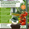 TTL GARDEN Rankstäbe 10er Set 150cm 16mm extra stabil + Produktbild-Vorschau 2