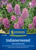 Artikelbild 2 von 'Indianernessel Zitronenmonarde' aus der Kategorie Kräutersamen Produktbild-Vorschau