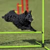 A black dog is jumping over a green agility hurdle in a grassy field. Produktbild-Vorschau