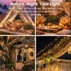 Lichterkette 300 LED warmweiß 30 m, 8 Modi, IP44 Productafbeelding-voorbeeld