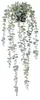 Hängende Kunstpflanze SENECIO, 60 cm Produktbild-Vorschau 4